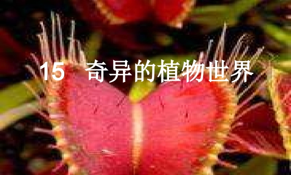 三年级语文下册 第4单元 15《奇异的植物世界》课件2 语文S版-语文S版小学三年级下册语文课件