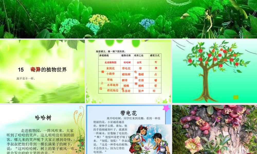 三年级语文下册 第4单元 15《奇异的植物世界》课件3 语文S版-语文S版小学三年级下册语文课件