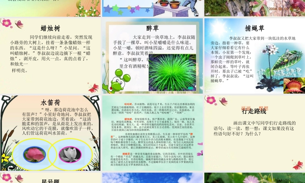 三年级语文下册 第4单元 15《奇异的植物世界》课件3 语文S版-语文S版小学三年级下册语文课件