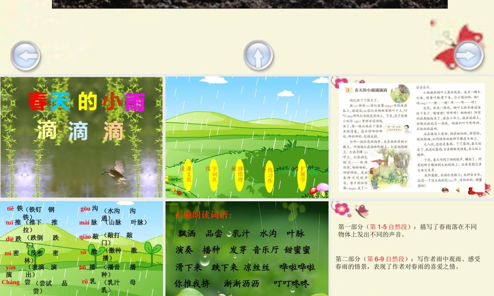 三年级语文下册 第1单元 3《春天的小雨滴滴滴》课件3 沪教版-沪教版小学三年级下册语文课件
