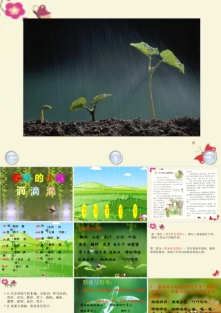 三年级语文下册 第1单元 3《春天的小雨滴滴滴》课件3 沪教版-沪教版小学三年级下册语文课件