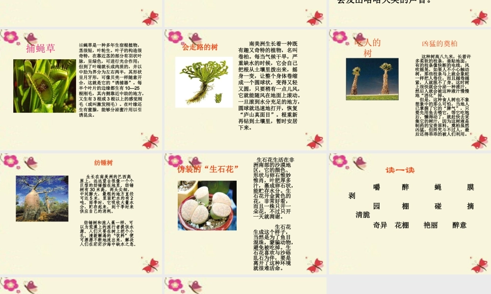 三年级语文下册 第4单元 15《奇异的植物世界》课件4 语文S版-语文S版小学三年级下册语文课件