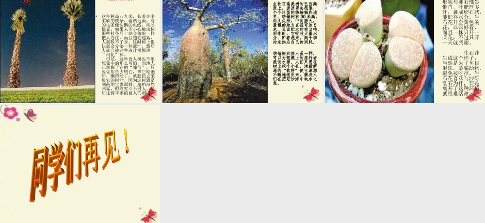 三年级语文下册 第4单元 15《奇异的植物世界》课件6 语文S版-语文S版小学三年级下册语文课件