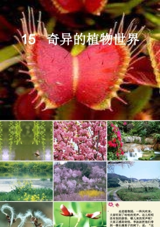 三年级语文下册 第4单元 15《奇异的植物世界》课件6 语文S版-语文S版小学三年级下册语文课件
