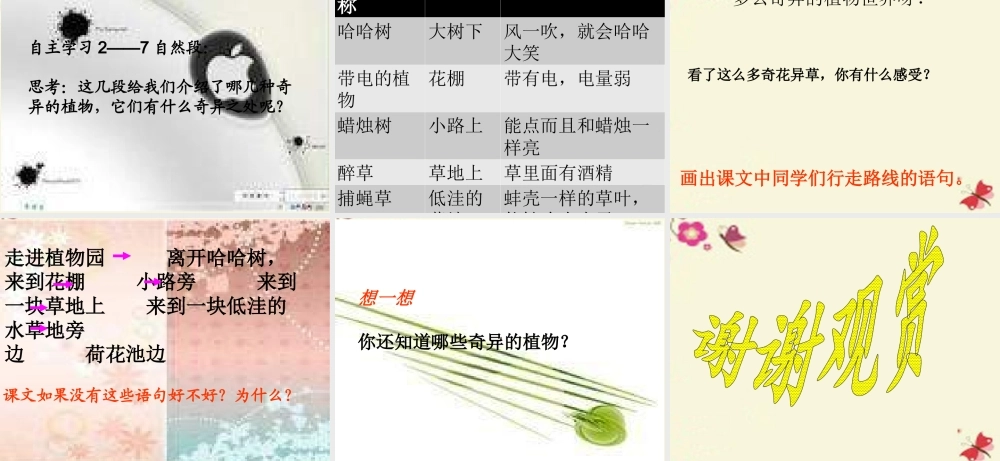 三年级语文下册 第4单元 15《奇异的植物世界》课件7 语文S版-语文S版小学三年级下册语文课件