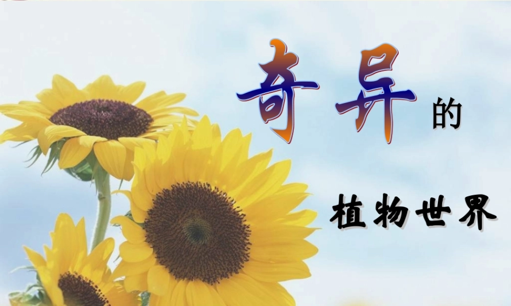 三年级语文下册 第4单元 15《奇异的植物世界》课件8 语文S版-语文S版小学三年级下册语文课件