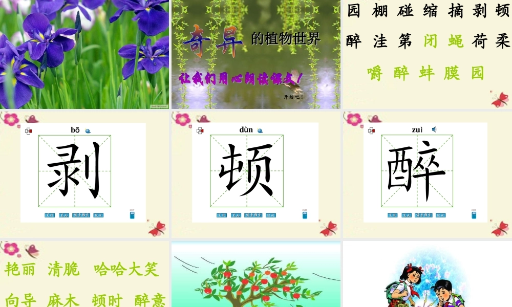 三年级语文下册 第4单元 15《奇异的植物世界》课件8 语文S版-语文S版小学三年级下册语文课件