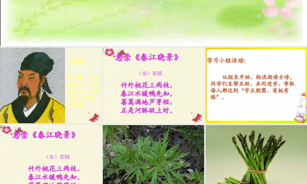 三年级语文下册 第1单元 3《古诗两首》惠崇 春江晓景课件2 语文S版-语文S版小学三年级下册语文课件