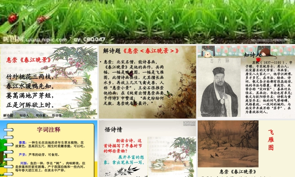 三年级语文下册 第1单元 3《古诗两首》惠崇 春江晓景课件4 语文S版-语文S版小学三年级下册语文课件