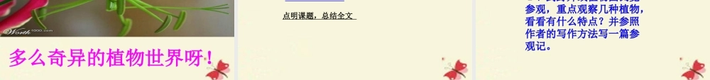 三年级语文下册 第4单元 15《奇异的植物世界》课件11 语文S版-语文S版小学三年级下册语文课件