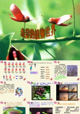 三年级语文下册 第4单元 15《奇异的植物世界》课件11 语文S版-语文S版小学三年级下册语文课件