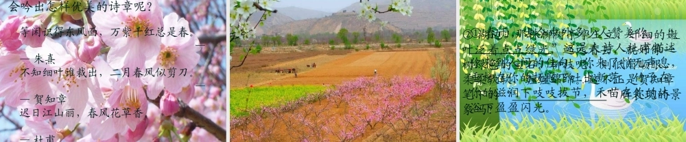 三年级语文下册 第1单元 3《古诗两首》课件1 语文S版-语文S版小学三年级下册语文课件