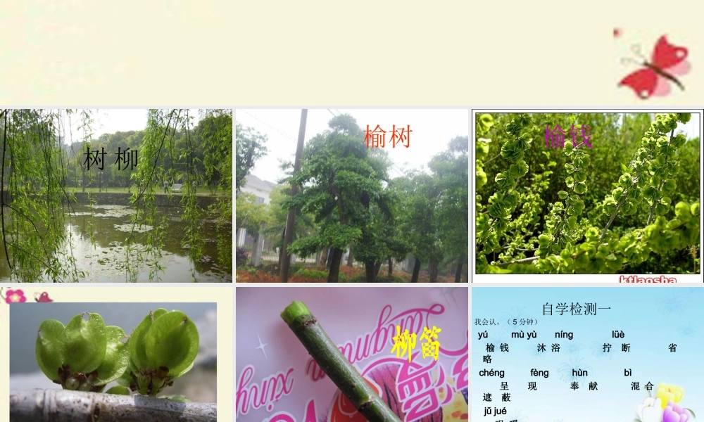 三年级语文下册 第1单元 4《柳笛和榆钱》课件3 语文S版-语文S版小学三年级下册语文课件