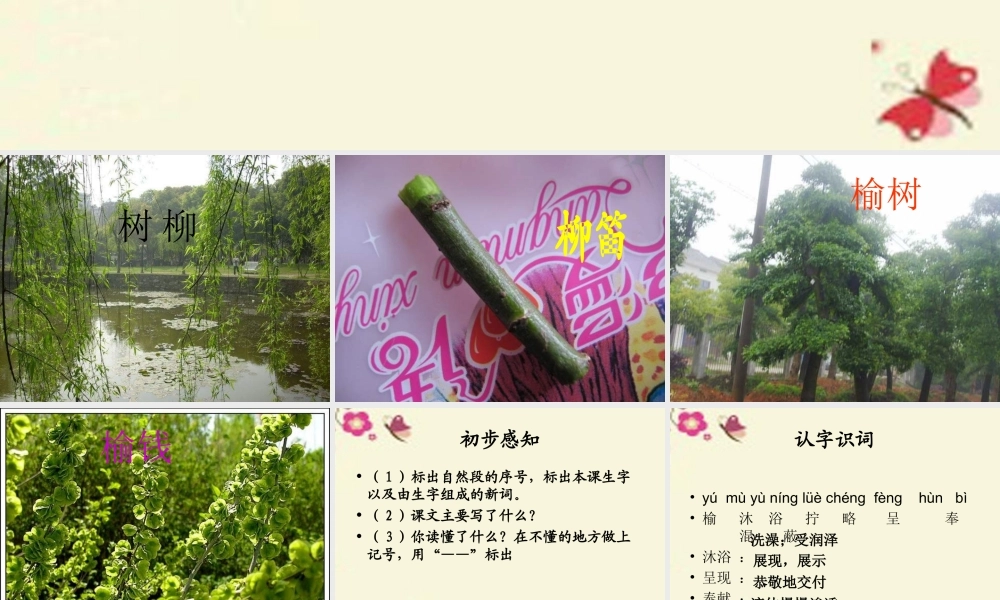 三年级语文下册 第1单元 4《柳笛和榆钱》课件8 语文S版-语文S版小学三年级下册语文课件