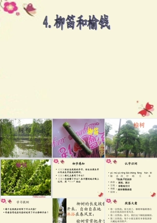 三年级语文下册 第1单元 4《柳笛和榆钱》课件8 语文S版-语文S版小学三年级下册语文课件