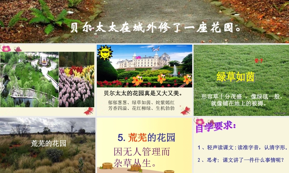 三年级语文下册 第1单元 5《荒芜的花园》课件1 沪教版-沪教版小学三年级下册语文课件