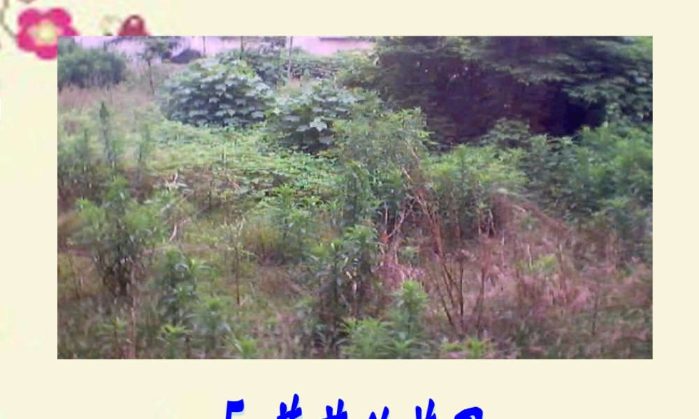 三年级语文下册 第1单元 5《荒芜的花园》课件4 沪教版-沪教版小学三年级下册语文课件