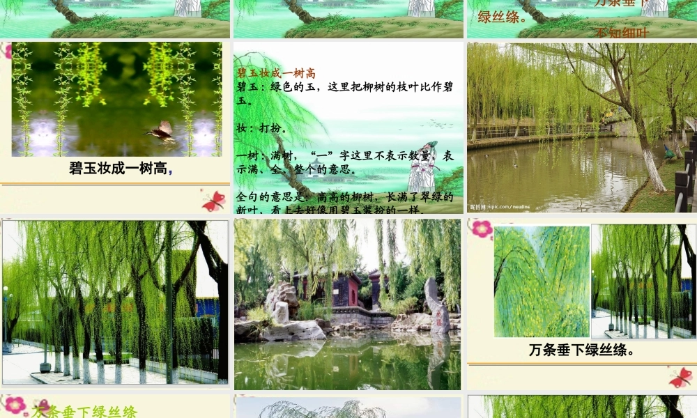 三年级语文下册 第1单元 古诗诵读《咏柳》课件2 沪教版-沪教版小学三年级下册语文课件