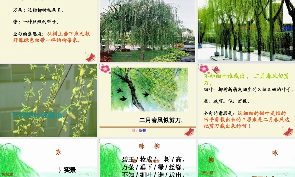 三年级语文下册 第1单元 古诗诵读《咏柳》课件2 沪教版-沪教版小学三年级下册语文课件