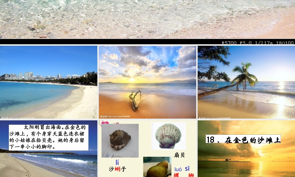 三年级语文下册 第4单元 18《在金色的沙滩上》课件2 沪教版-沪教版小学三年级下册语文课件