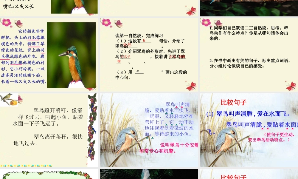 三年级语文下册 第2单元 5《翠鸟》课件1 语文S版-语文S版小学三年级下册语文课件