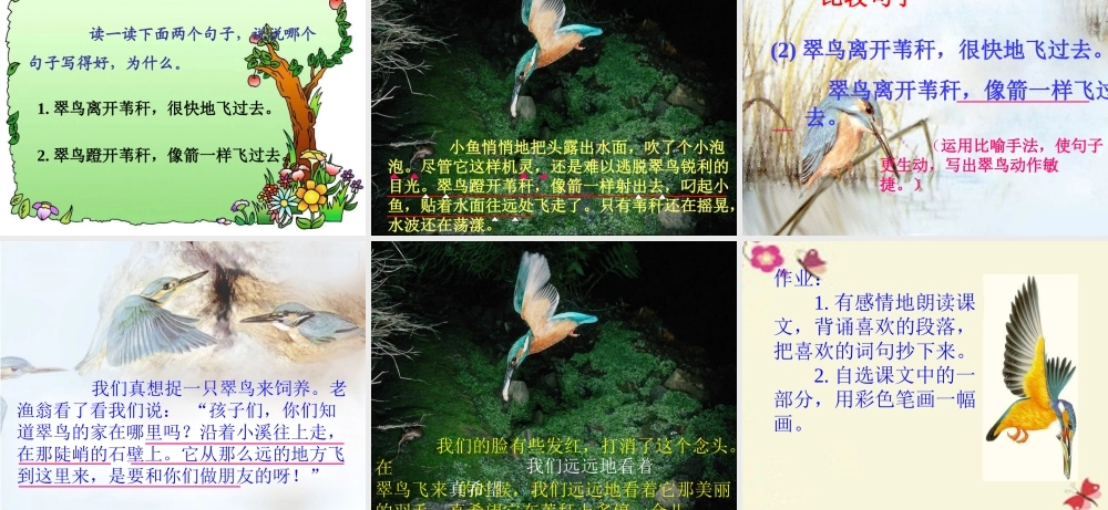 三年级语文下册 第2单元 5《翠鸟》课件1 语文S版-语文S版小学三年级下册语文课件
