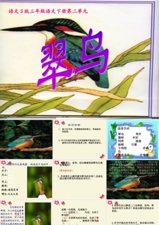 三年级语文下册 第2单元 5《翠鸟》课件1 语文S版-语文S版小学三年级下册语文课件