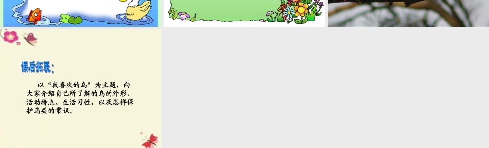 三年级语文下册 第2单元 5《翠鸟》课件2 语文S版-语文S版小学三年级下册语文课件