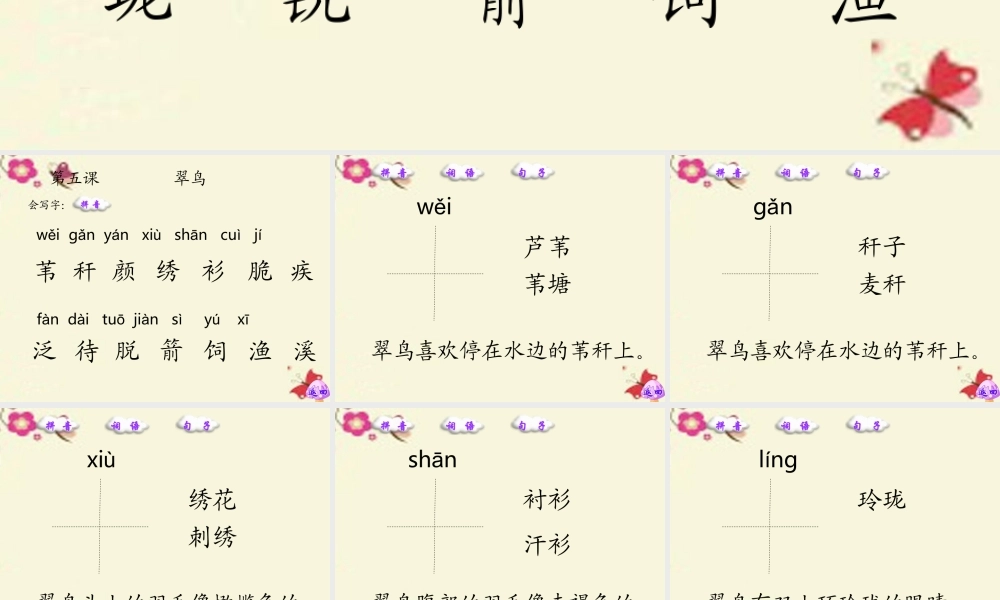三年级语文下册 第2单元 5《翠鸟》课件3 语文S版-语文S版小学三年级下册语文课件