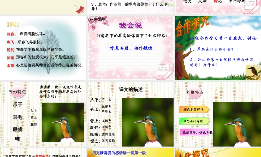 三年级语文下册 第2单元 5《翠鸟》课件4 语文S版-语文S版小学三年级下册语文课件