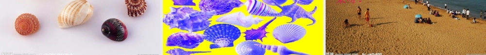 三年级语文下册 第4单元 18《在金色的沙滩上》课件6 沪教版-沪教版小学三年级下册语文课件