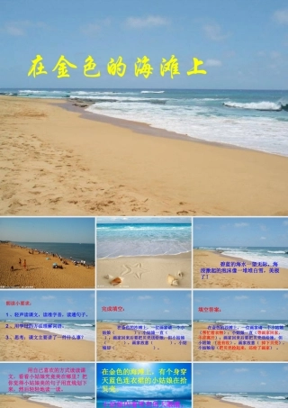 三年级语文下册 第4单元 18《在金色的沙滩上》课件6 沪教版-沪教版小学三年级下册语文课件