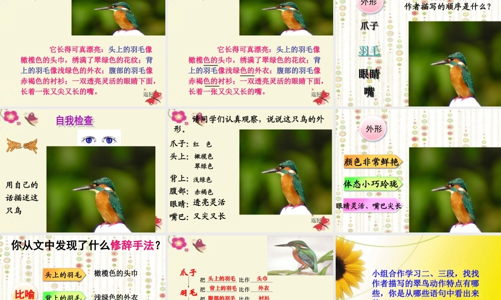 三年级语文下册 第2单元 5《翠鸟》课件5 语文S版-语文S版小学三年级下册语文课件