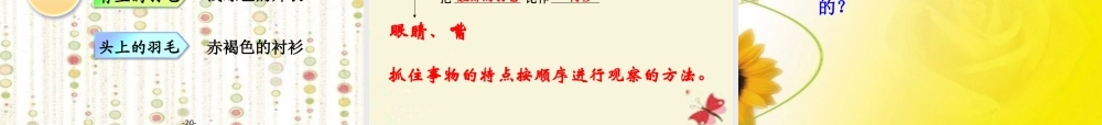 三年级语文下册 第2单元 5《翠鸟》课件5 语文S版-语文S版小学三年级下册语文课件