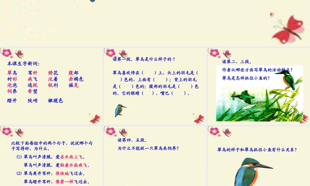 三年级语文下册 第2单元 5《翠鸟》课件6 语文S版-语文S版小学三年级下册语文课件