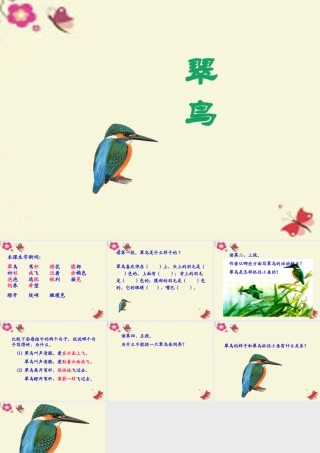 三年级语文下册 第2单元 5《翠鸟》课件6 语文S版-语文S版小学三年级下册语文课件