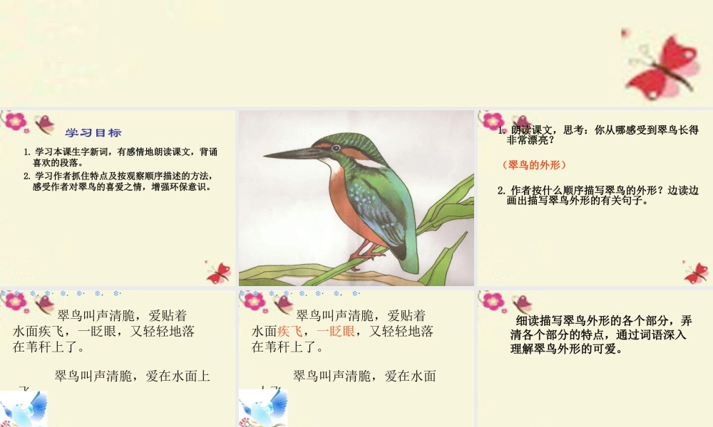 三年级语文下册 第2单元 5《翠鸟》课件7 语文S版-语文S版小学三年级下册语文课件