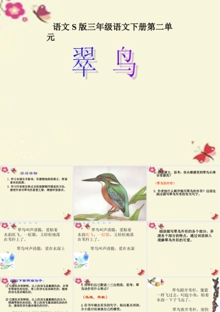 三年级语文下册 第2单元 5《翠鸟》课件7 语文S版-语文S版小学三年级下册语文课件
