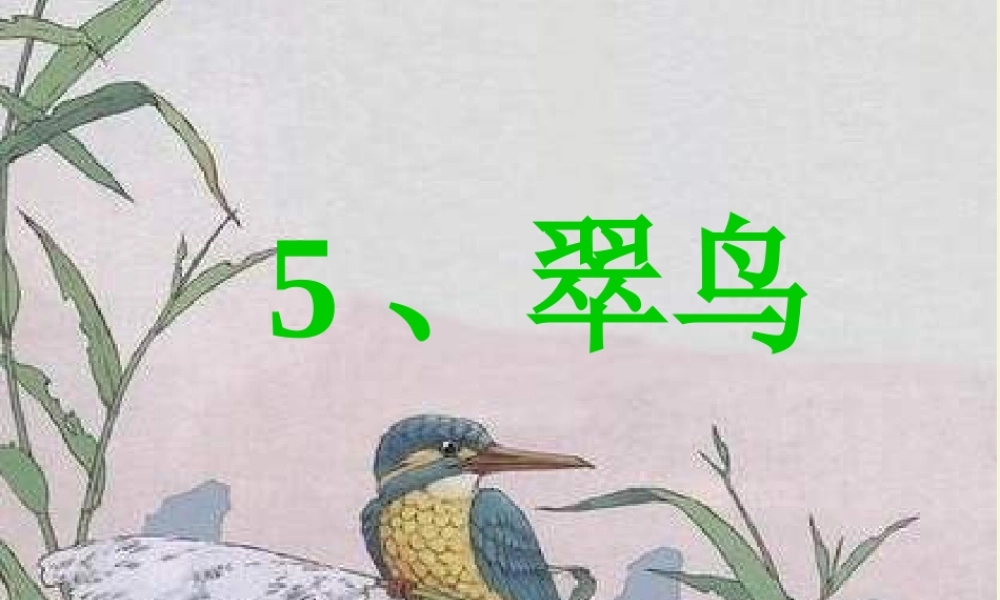 三年级语文下册 第2单元 5《翠鸟》课件8 语文S版-语文S版小学三年级下册语文课件