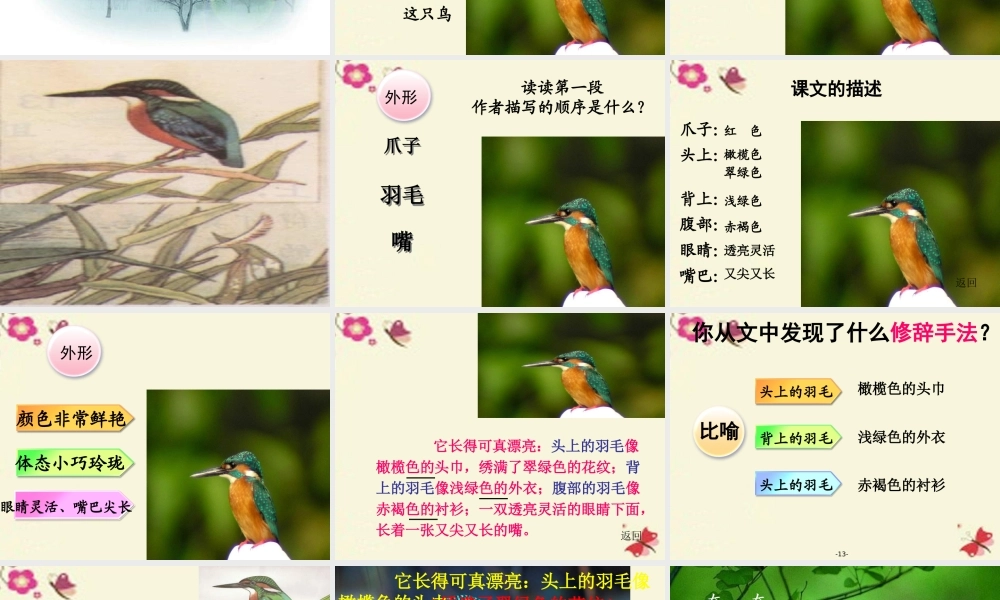三年级语文下册 第2单元 5《翠鸟》课件8 语文S版-语文S版小学三年级下册语文课件