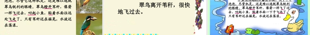 三年级语文下册 第2单元 5《翠鸟》课件8 语文S版-语文S版小学三年级下册语文课件