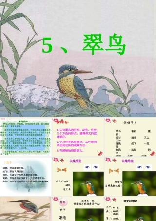 三年级语文下册 第2单元 5《翠鸟》课件8 语文S版-语文S版小学三年级下册语文课件