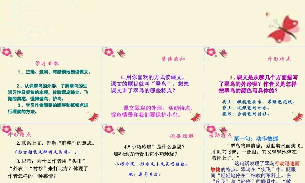 三年级语文下册 第2单元 5《翠鸟》课件9 语文S版-语文S版小学三年级下册语文课件