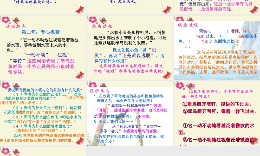三年级语文下册 第2单元 5《翠鸟》课件9 语文S版-语文S版小学三年级下册语文课件