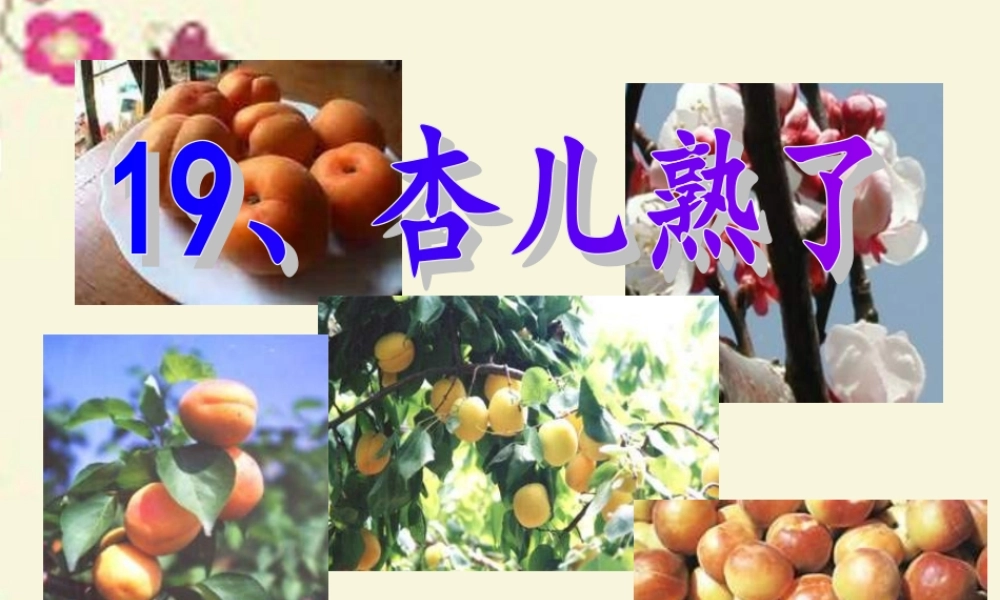 三年级语文下册 第4单元 19《杏儿熟了》课件1 沪教版-沪教版小学三年级下册语文课件