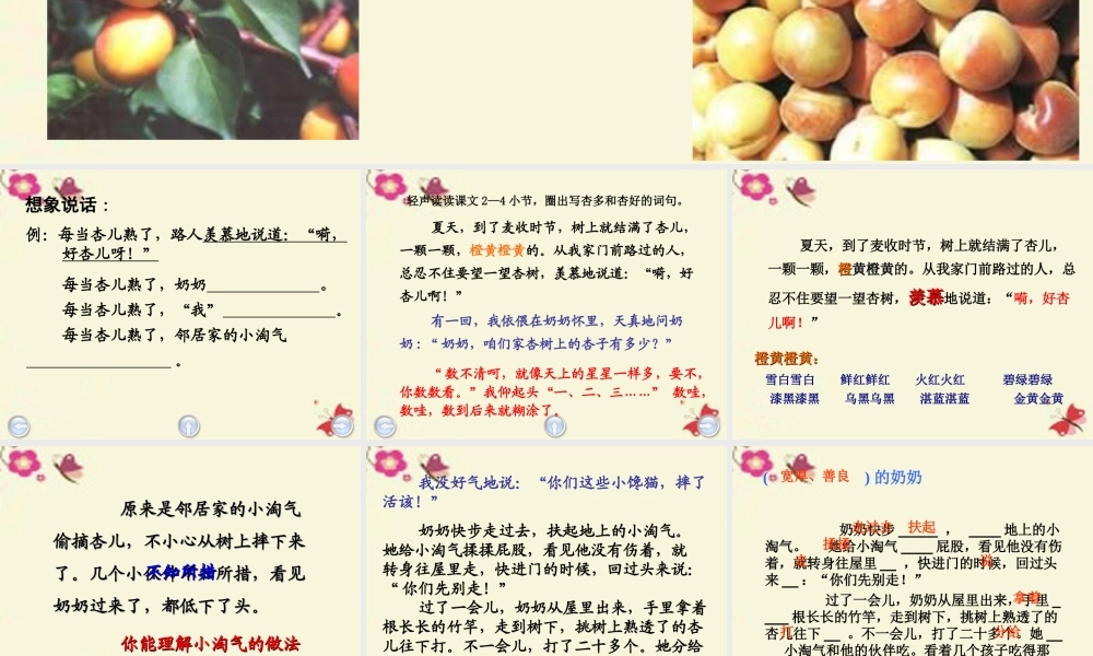 三年级语文下册 第4单元 19《杏儿熟了》课件1 沪教版-沪教版小学三年级下册语文课件