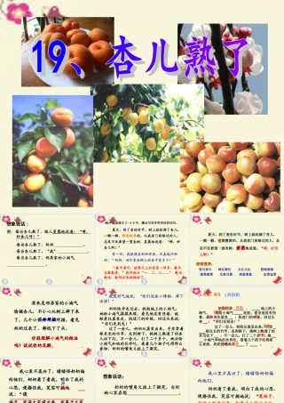 三年级语文下册 第4单元 19《杏儿熟了》课件1 沪教版-沪教版小学三年级下册语文课件