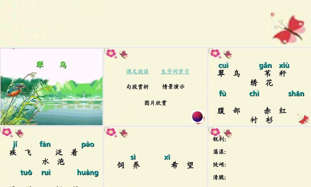 三年级语文下册 第2单元 5《翠鸟》课件10 语文S版-语文S版小学三年级下册语文课件