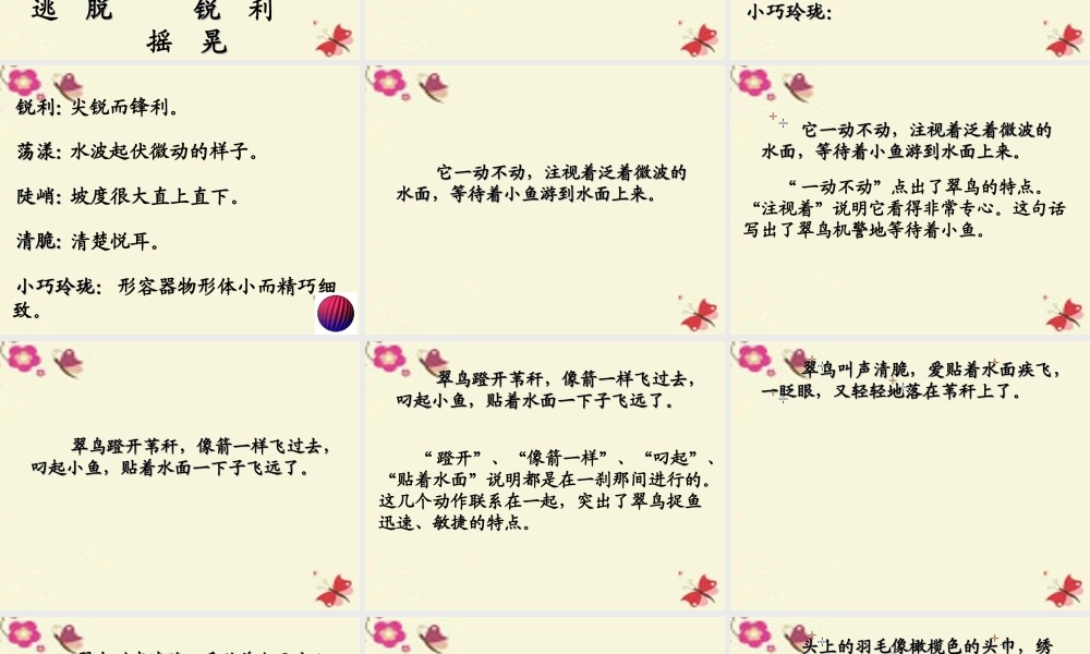 三年级语文下册 第2单元 5《翠鸟》课件10 语文S版-语文S版小学三年级下册语文课件