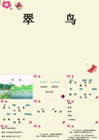 三年级语文下册 第2单元 5《翠鸟》课件10 语文S版-语文S版小学三年级下册语文课件